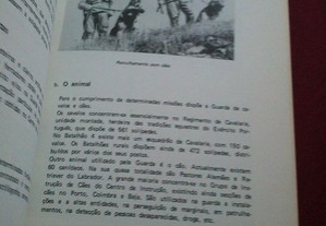 imagem_5