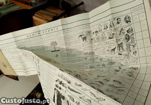 imagem_4