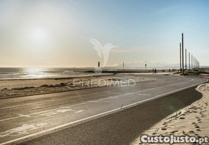 imagem_24