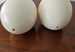 2 ovos decorativos de avestruz