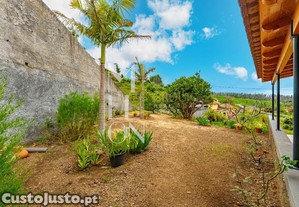 imagem_39