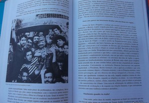 imagem_4