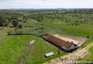 imagem_8