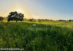 imagem_17