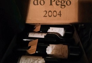 Quinta do Pégo 2004 Douro