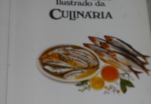 imagem_2