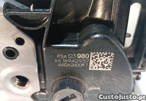 imagem_6