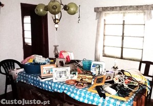 imagem_7