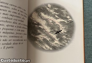 imagem_4