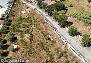 imagem_7