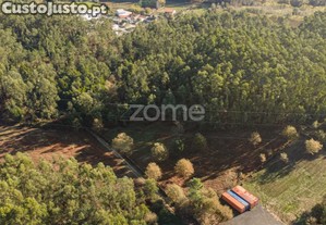 Terreno Rústico Com 3.930 M2 Na Carvalhosa,...