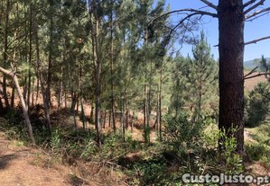Lote De Terreno Para Construção