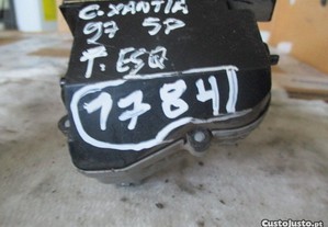 imagem_3