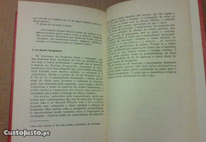 imagem_8