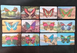 Série numerada de 12 calendários de 1988, tema borboletas