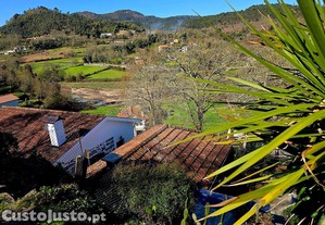 imagem_12