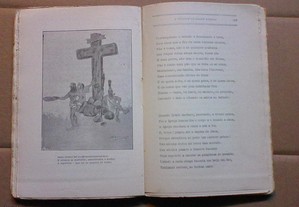 imagem_7