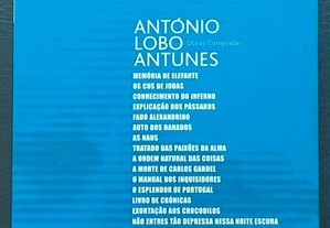 imagem_2