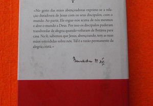 imagem_8