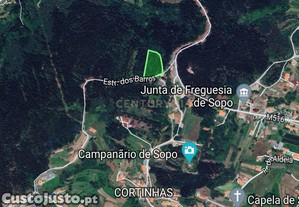 imagem_1