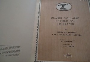 imagem_6