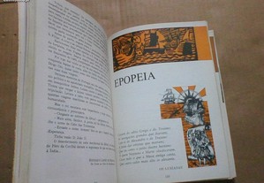 imagem_6