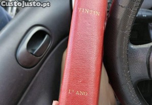 imagem_5