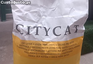 CityCat - Absorvente