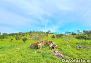imagem_28