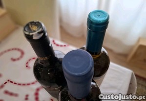 imagem_6