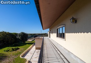 imagem_29