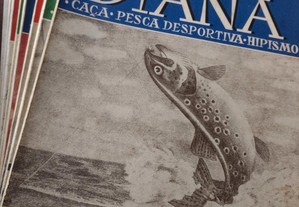 Diana - Caça - Hipismo - Pesca Desportiva 1949