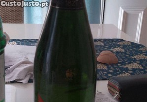 imagem_6
