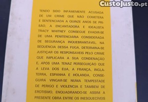 imagem_7