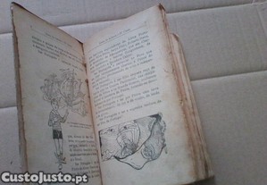 imagem_4