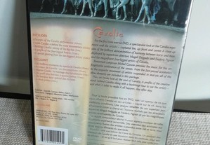 imagem_3