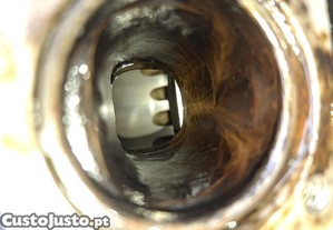 imagem_10