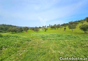 imagem_30