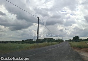 imagem_16