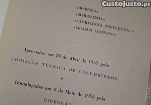 imagem_6