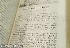 imagem_7
