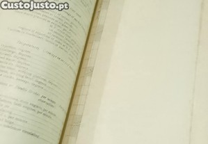 imagem_8