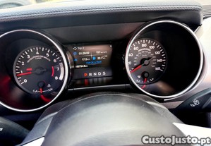 imagem_15