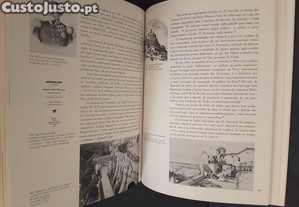 imagem_8