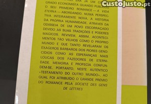 imagem_8