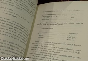 imagem_13