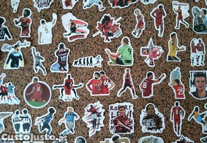 imagem_7