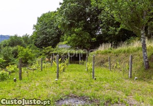 Moradia Com Terreno De 1.450 M², Furo De Água E...