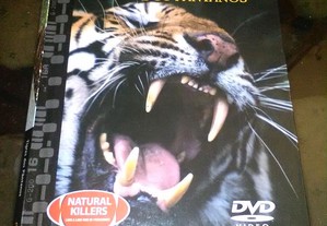 Dvd Tigre dos Pântanos