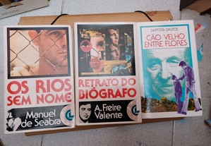 imagem_6